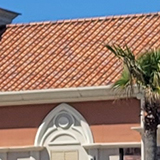 マリゾンの写真